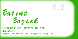 balint bozsek business card